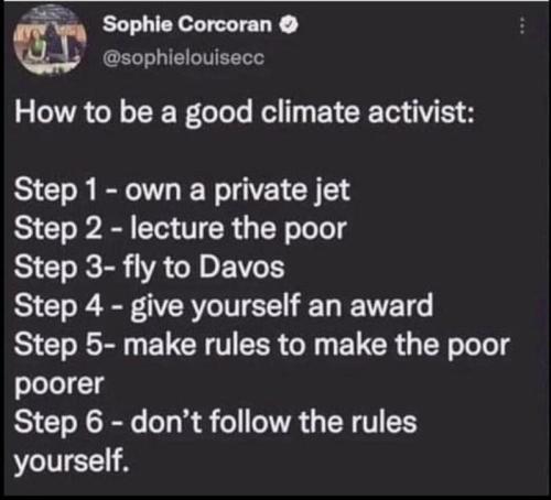 Climate activist