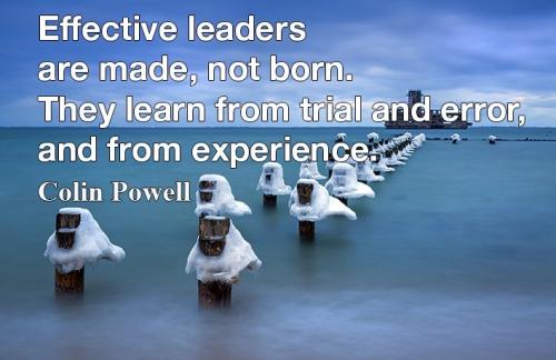 2-Leaders Trial & Error