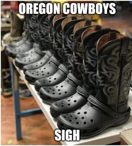 mf-oregon-cowboys