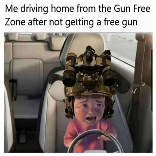 freegunzone