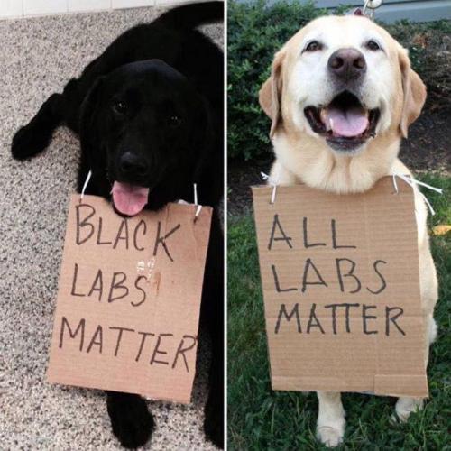 all labs matter