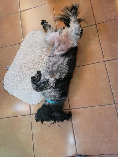 1ec59c3c-9215-4693-a4d9-dda4ad3a0a45