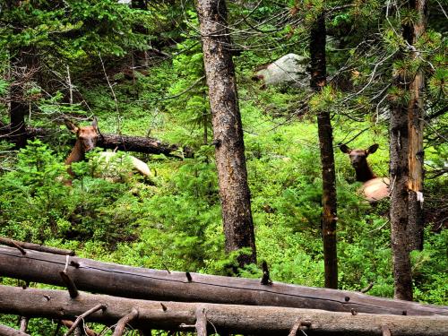 Polish_20220816_222802669