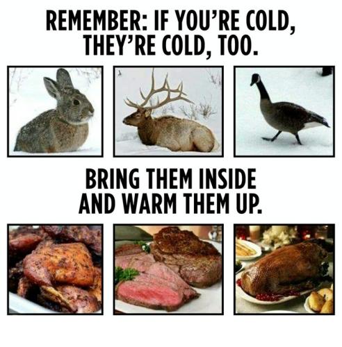 If you're cold they're cold too