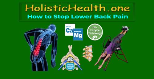 HolisticHealth.one - How to Stop Lower Back Pain
