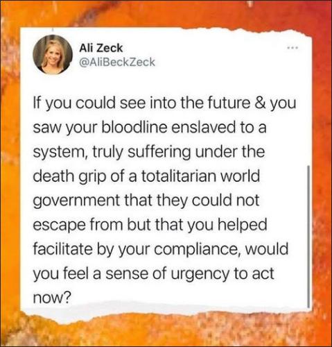 totalitarian world government00