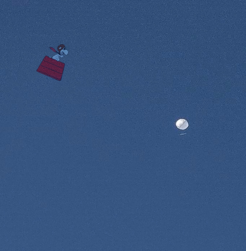 329149110_1561763357649299_2422041454709018002_n