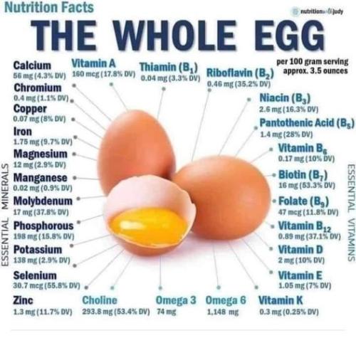 Eggs are Medicine 1