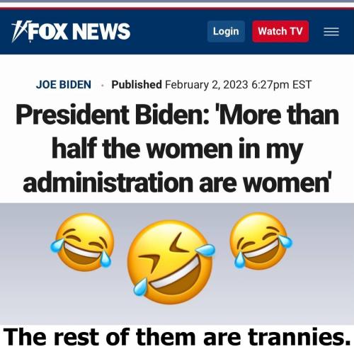 Joe Bidens trannies