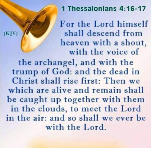 edf9507e-f671-4410-bf5b-b5ea21004dad