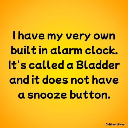 FB_IMG_1675276165081