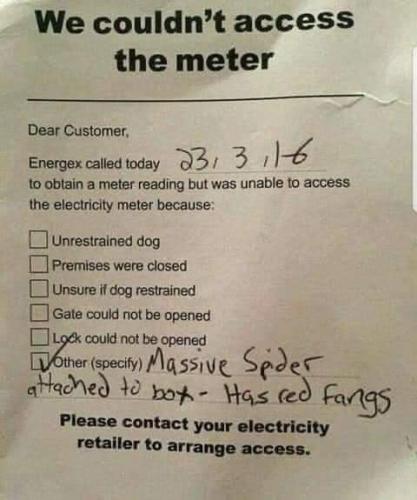FB_IMG_1675758242338