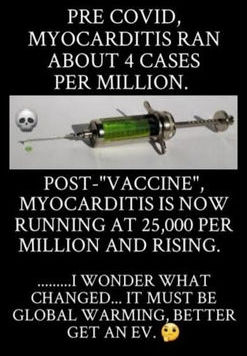 myocarditis06