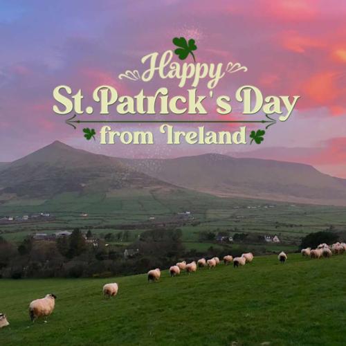 328718452_2302966186531670_6302839617055686549_n