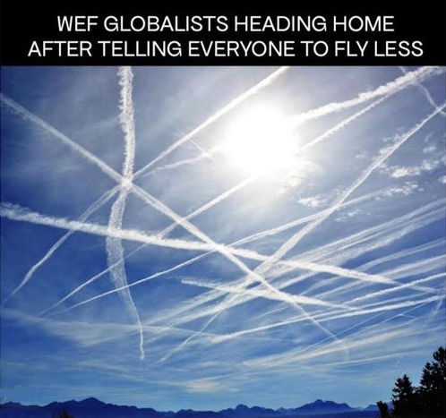 world economic forum42