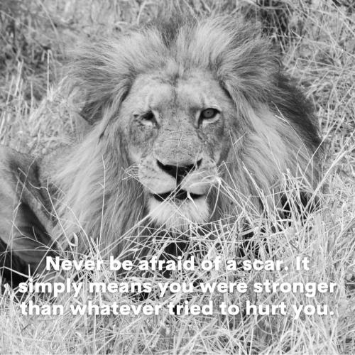 IMG_20230204_043415_285