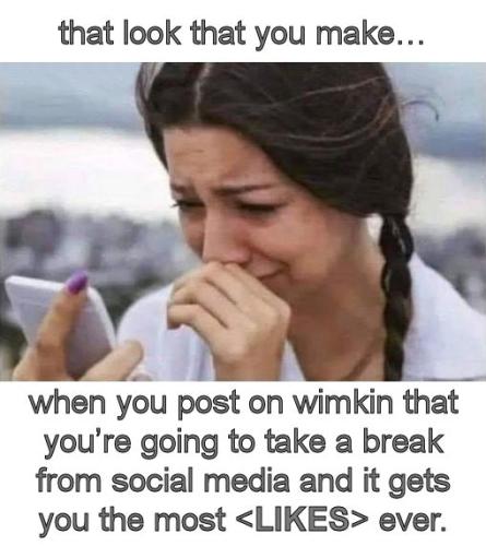 when you post on wimkin that