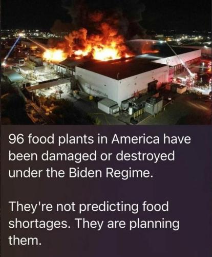 food plants