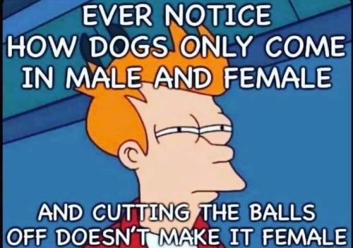 FB_IMG_1676511848275
