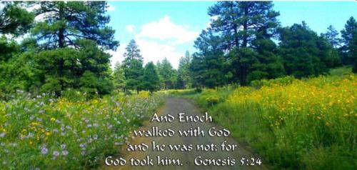 6e5dba69-262b-4e7c-ae9c-b0b6e0efdc73