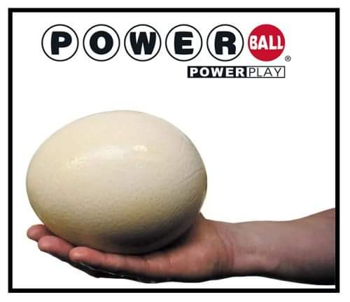 FB_IMG_1675432774059