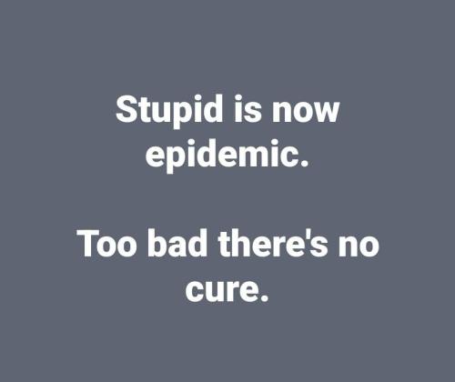 FB_IMG_1677375639032