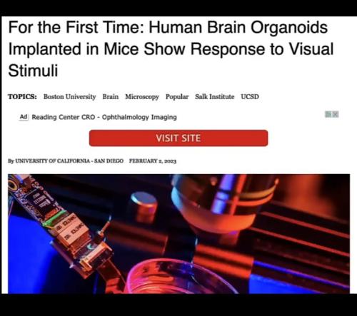 18:57:08 GMT-0500 (EST)