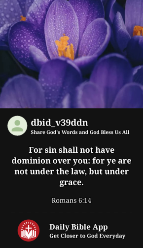 2023-02-161676590650659