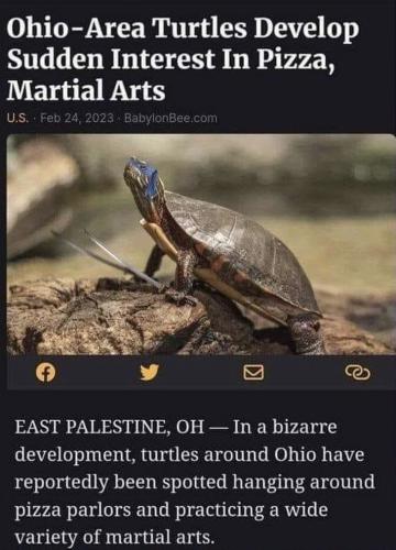 photo_2023-02-27_17-42-08