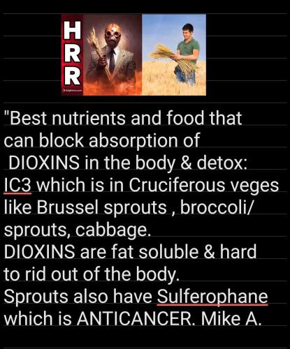 20:16:23 GMT-0500 (EST)