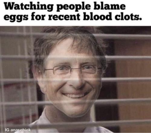 photo_2023-02-02_15-59-07