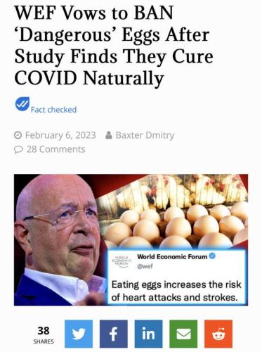 Now you know why the WEF is trying to ban eggs