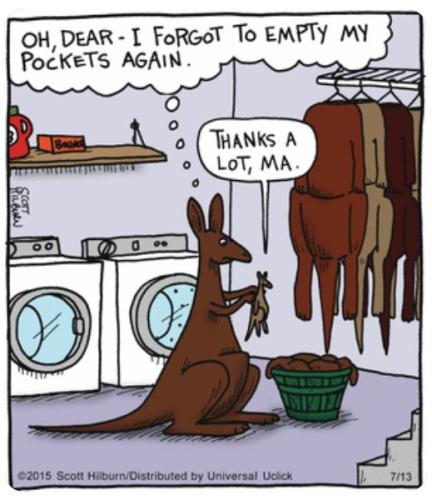 329486842_559728886098992_1176187595758411891_n