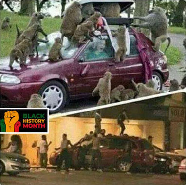 black history month01