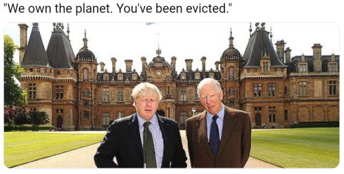 Screenshot_2023-01-31-19-46-47_kindlephoto-75735098