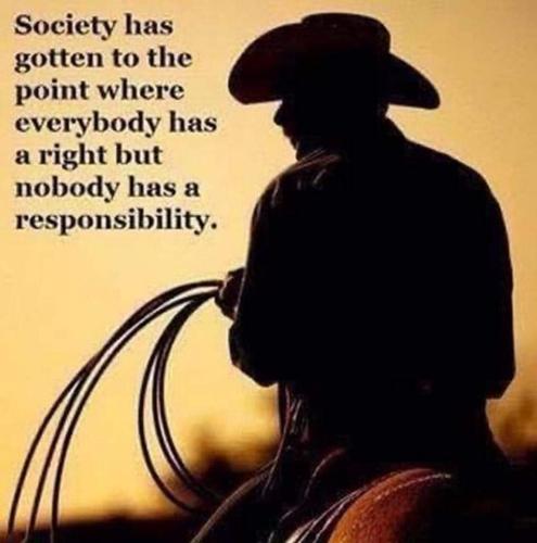 FB_IMG_1675533081175