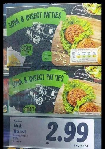 insect patties