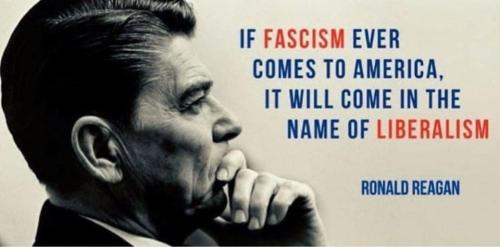 64644754_458427334945025_7740904872811167744_n