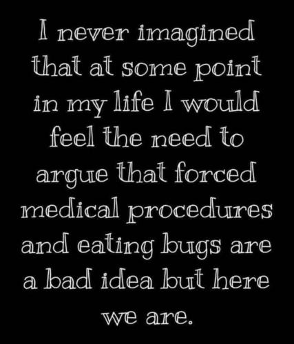 photo_2023-02-01_23-23-55