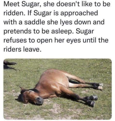 FB_IMG_1677527679540