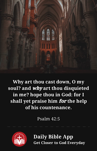 2023-02-071675813621606