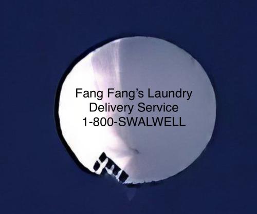 A1463EF6-4D53-41E1-A33F-812EFE44D709