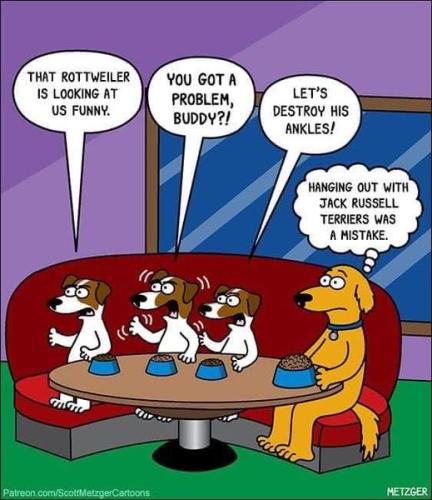 332753475_591095345892193_2389722260227556158_n