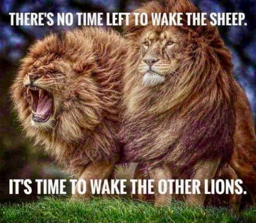 0C2572DF-6002-421E-A912-DB2D231AAAB0