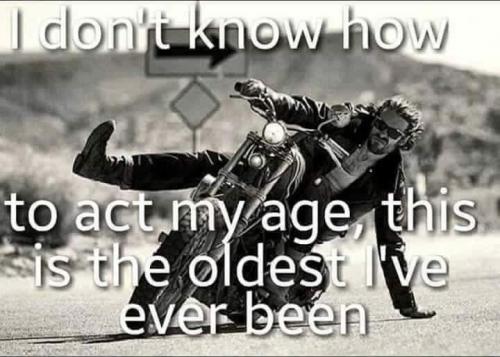 FB_IMG_1675693200059