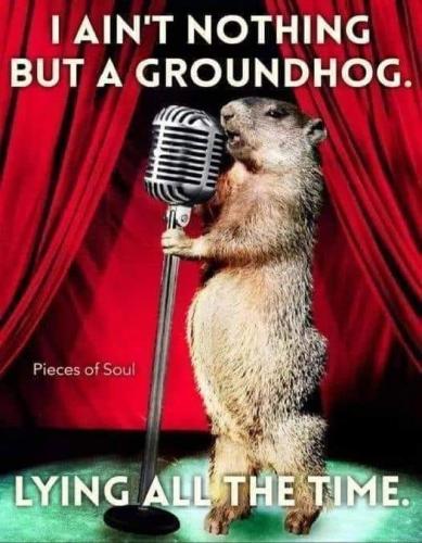 ground hog