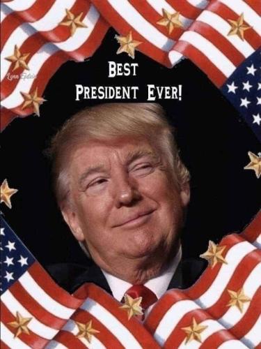 Trump 7