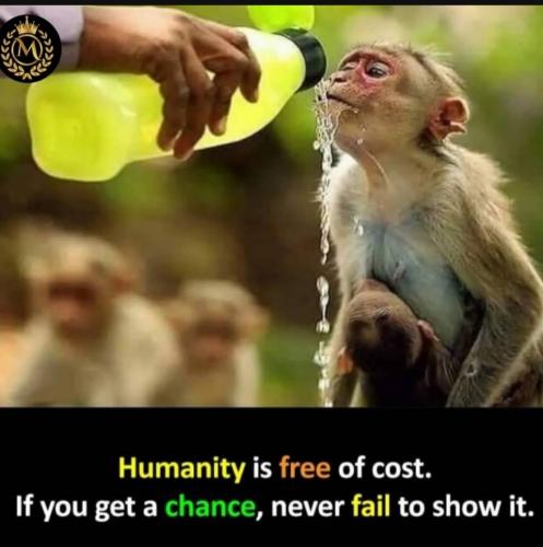 Screenshot_20230205_120038_YouTube