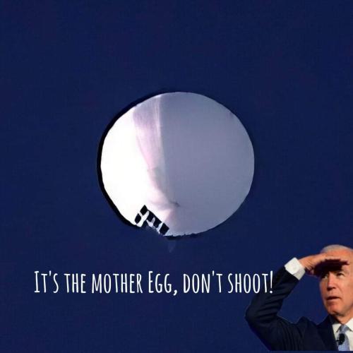 FB_IMG_1675569376590