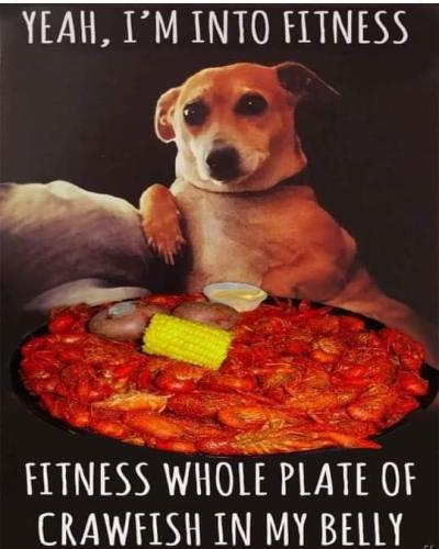 FB_IMG_1675952837904